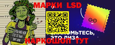 гидра Шахты