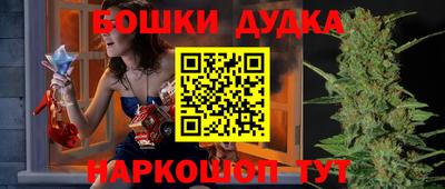 прущие крисы Шелехов