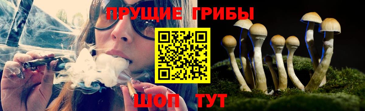 Галлюциногенные грибы MAGIC MUSHROOMS Городец